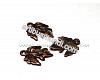 Sendinto vario sp. pakabukas lapelis 10x13mm, 1 vnt.