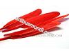 Red goose feather 10-15cm, 1pcs